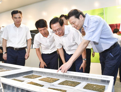 重磅 省委书记车俊到访嵊州,参观这些地方并予以建议 你们遇到了吗