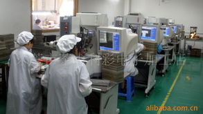 东莞市茶山利彩电子加工店 邦定加工产品列表