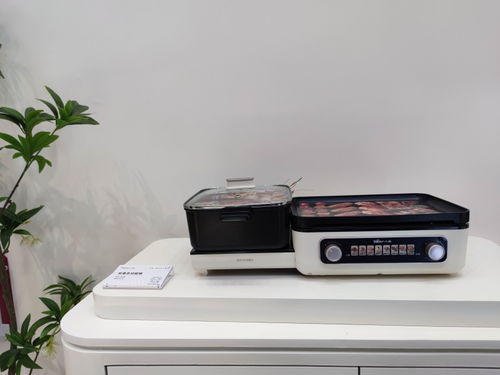 小熊电器多功能锅dkl e22w1 一锅多用,烹饪更轻松