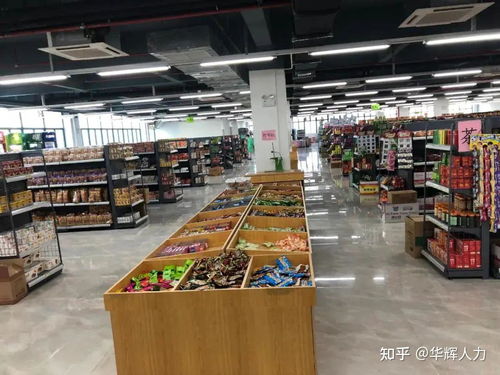 惠州大型电子厂怎么样